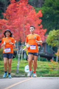 BIB: 8137, 8143
                            <button type="button" onclick="openModal(19239658)" class="btn btn-primary btn-sm float-right btn-popup" data-toggle="modal" data-target=".modal-high-quality">
                        <i class="fas fa-shopping-cart"></i> Add to Cart
                    </button>
                                            <button type="button" onclick="isThisMe(19239658, true)" class="btn btn-success btn-sm float-right btn-popup btn-isme hidden" data-toggle="tooltip" data-placement="bottom" title="นี่คือรูปของคุณใช่ไหม คลิกที่นี่เพื่อเอาเข้าอัลบั้ม">
                        <i class="fas fa-plus"></i> Add to album
                    </button>
                    <button type="button" onclick="isThisMe(19239658, false)" class="btn btn-warning btn-sm float-right btn-popup btn-isnotme hidden">
                        <i class="fas fa-ban"></i> Remove from album
                    </button>